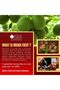 Monk Fruit Sweetener with Erythritol, 100g | Granular Natural Sugar Alternative for Beverages - 8