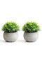 2PCS Mini Artificial Plants – Faux Plants in Pots with Zero Maintenance, Home Office Décor with Eco-