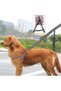 Ergonomic Soft Textured Anti-Sweat Dog Chest Harness Medium () Glbl-Stl57839
