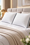 2 Air-Conditioned Silicone Pillows - Ultra Comfort - 1000 Grams of Pure Silicone - 6