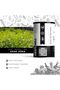 Khar Jeera 100g | Caraway Seeds | Carum carvi - 2