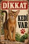 Abyssinian Cat Caution: Cat Present Metal Sign - Abyssinian Retro Decorative Wall Sign 15X20Cm