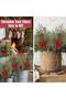 70 cm Kokina Christmas Tree Ornament - Lucky Flower Red Berry Branch, Tshv21 - 4