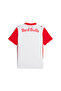 FC Red Bull Salzburg 25/26 Home Jersey Men - 7