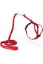 Easy Walk Cat Harness with Bungee Lead, Comfortable Control with Adjustable Fit, Includes St