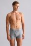 Egyptian Modal by Tencel Spartacus Plus Boxer Gray Melange - 3