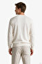 Men's Cream Regular Fit Knitwear - 3