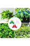 40 Pcs Plant Training Clips, Low Stress Training Clips for Plant Stem Support, 90 Degrees Plant Trai - 7