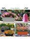 12Pcs 17Inches Rectangle Planter Box with Drainage Holes and Trays - 5