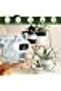 Automatic Watering System with Self Plant Watering Devices,Indoor Watering System for Potted Plants - 2