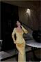 Flexible Kayık Evening Dress Velvet Fabric Dress Collar - 2