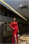 Velvet Cycling Evening Dress Fabric Dress Collar Long Sleeve - 3