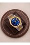 Titan Premium Gold Silver Steel Men's Wristwatch