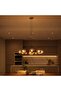 Aether 12-light 3w Led Pendant Lamp 3000k Warm Light 85x170cm - Brown - 2