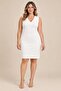 Plus Size V-Neck Pencil Dress