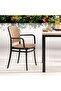 Verra Outdoor Arm Chair - Brown