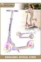 2-Wheel Kick Scooter With Double Brake, Foldable Lightweight Scooter With LED Light-Up Whe