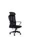 Aniza Office High Back Chair Mesh Fabric - Black - 7