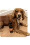 dirty dawg shampoo, 250 ml - 7