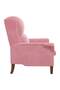 fotoliu Roz Catifea - 5