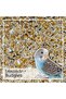 Budgie Food Premium, Bird Seed Food Mix Natural & Healthy Treats Snacks,Vitamin Added, Nutritious Bird Food, Gourmet Choice 2.4L Resealable Bucket 2 kg - 6