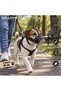 Medium Breed Metal Leather Dog Muzzle 28 cm Black - 3