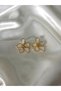 Women's Gold Color Stone and Pearlescent Flower Model Steel Earrings