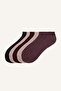 Women's 5-Piece Ribbed Cotton Bootie Socks I5652Axns