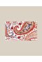 Paisley Towel Colorful-50 X 90 cm