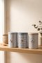 3 Piece Round Metal Decorative Box 9 cm X 14 cm / Spring Birds - 2