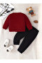 Children's Unisex Crew Neck Dinosaur Printed Sweatshirt and Sweatpants 100% Cotton Top and Bottom Set - 2