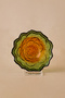 Sukulent Çerezlik 10 cm