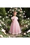 Powder Pink Butterfly Long Evening Dress