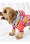 Cat - Dog Welsoft Warm Winter Waterproof Raincoat (Hat Can Be Put on and Taken Off) - Coat - Vest - Clothing - 2