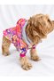 Cat - Dog Welsoft Warm Winter Waterproof Raincoat (Hat Can Be Put on and Taken Off) - Coat - Vest - Clothing - 7