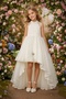 Short Front Long Back Tulle Dress for 8-12 Years Old Special Occasion, Birthday