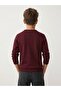 Boy's Crew Neck Knit Sweater Claret Red Color 6/14 Years - 3