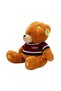 2001008 Sun-Sabc-Jnh-Pff-Sk Plush Bear Sitting with Sweater 42 cm 2R - 3