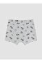 Boy's Printed Boxer 3-Pack (W6) - 2