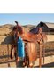 Genuine Leather 0.5 Lt Horse Water Bottle Holder - Saddle and Belt Compatible Water Bottle Holder (Blue)
