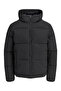 Jjgalaxy Puffer Jacket Pls Men's Coat 12303958 - 3