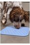 Silicone Licking Mat Medium, Blue - 3