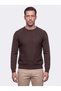 Brown Crew Neck Micro Patterned Men's Knit Sweater