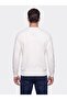 Ecru Crew Neck Micro Patterned Men's Knitwear Sweater - 2