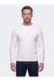 Ecru Crew Neck Micro Patterned Men's Knitwear Sweater