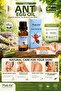 Purle Oil 20 ml Ant Egg Oil Opportunity Product - 2