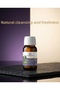 Natural Sage Oil (Bitter Apple) 20 ml - - 2