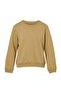 Light Khaki Thick Fleece Inside Regular Fit Crew Neck Basic Knitted Sweatshirt Twoaw24Sw00101