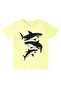 Sharks Boys' Summer T-Shirt Capri Shorts Set - 5