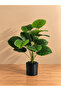 Plain Monstera Artificial Plant 75 cm – 18 Leaves – UV & Heat Resistant Comes with Decorative Black Plastic Pot - 5